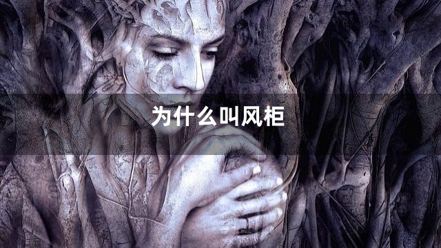 为什么叫风柜