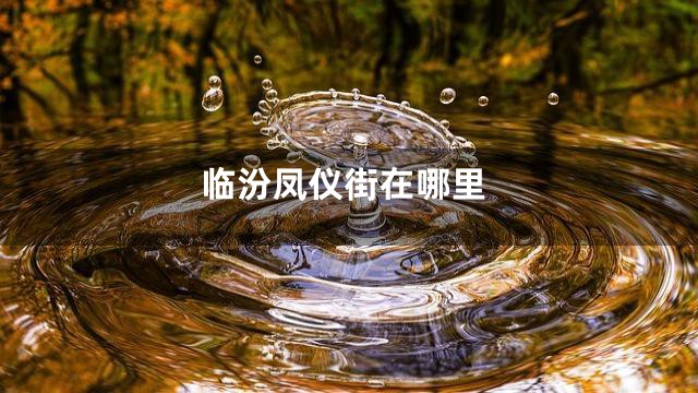 临汾凤仪街在哪里