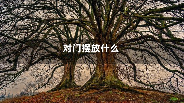 对门摆放什么
