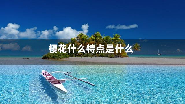 樱花什么特点是什么