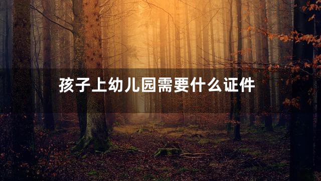 孩子上幼儿园需要什么证件