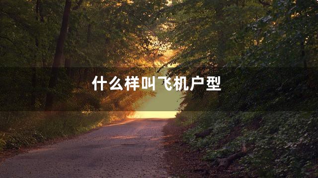 什么样叫飞机户型