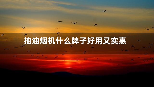 抽油烟机什么牌子好用又实惠