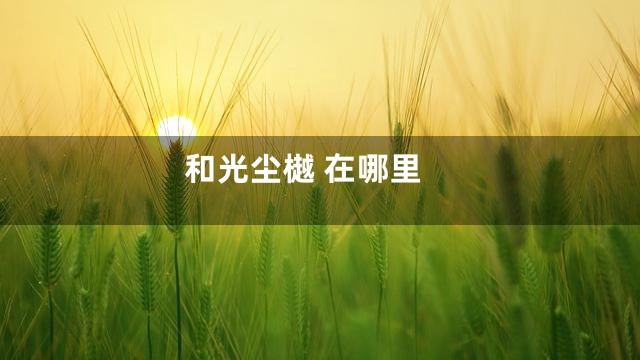 和光尘樾 在哪里