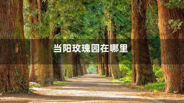 当阳玫瑰园在哪里