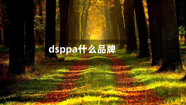 dsppa什么品牌