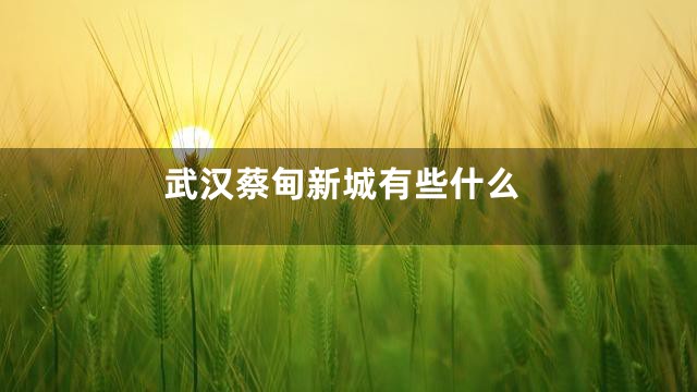 武汉蔡甸新城有些什么