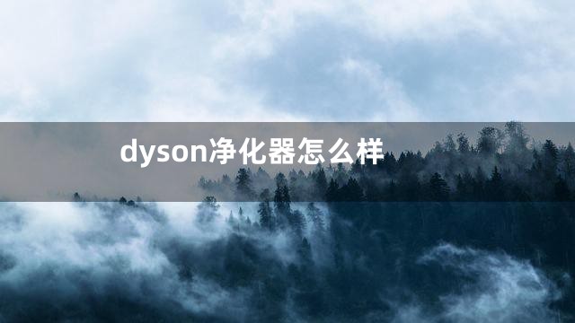 dyson净化器怎么样