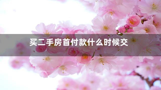 买二手房首付款什么时候交