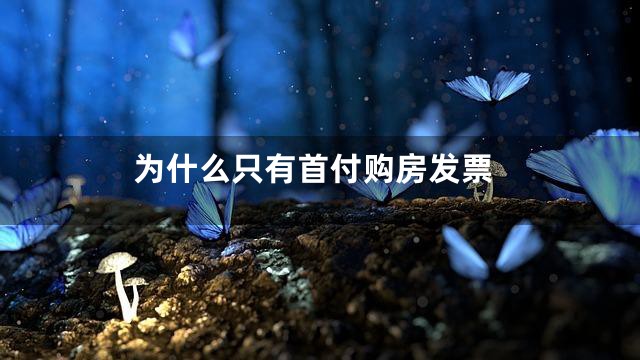 为什么只有首付购房发票