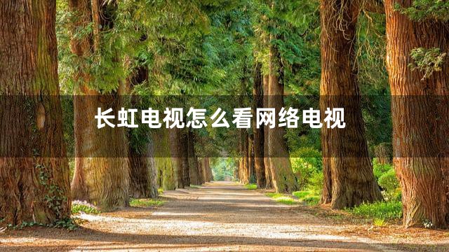 长虹电视怎么看网络电视