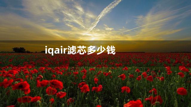 iqair滤芯多少钱