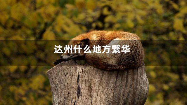 达州什么地方繁华