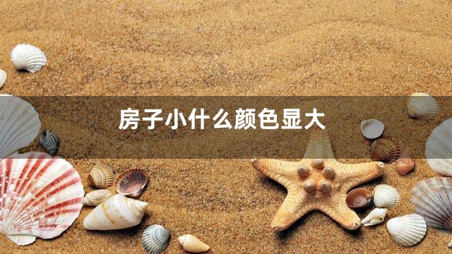 房子小什么颜色显大