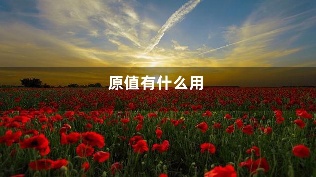 原值有什么用