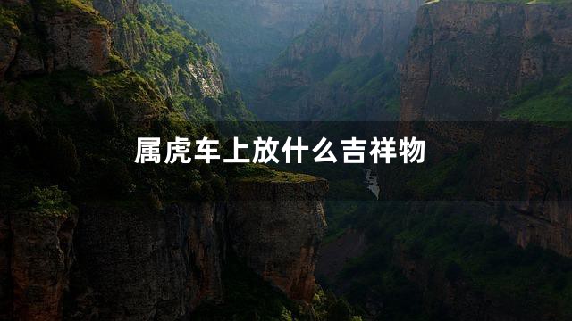 属虎车上放什么吉祥物