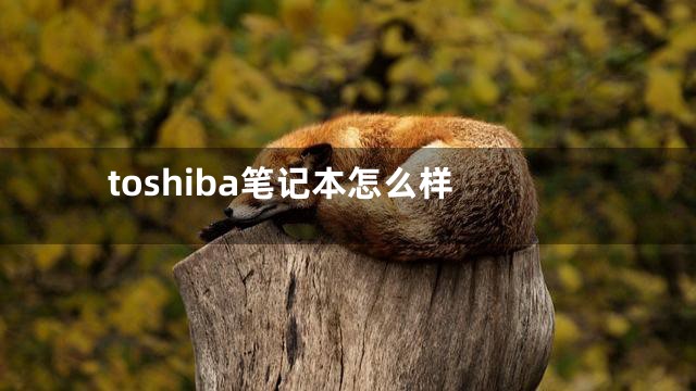 toshiba笔记本怎么样