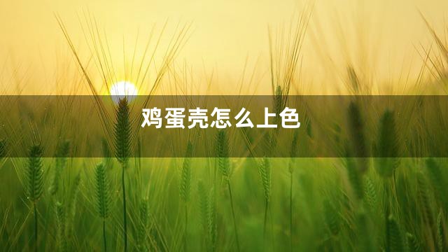 鸡蛋壳怎么上色