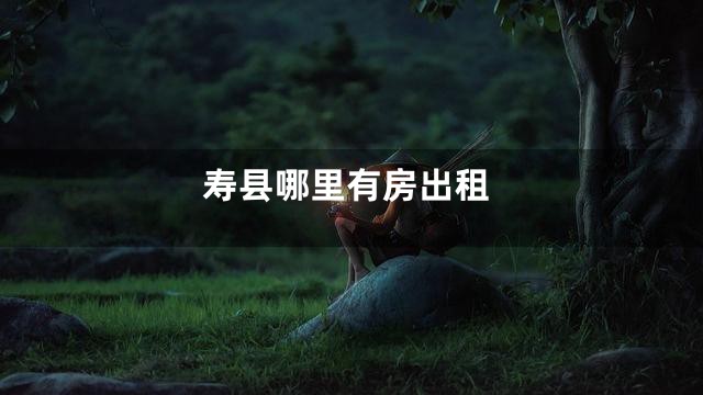 寿县哪里有房出租