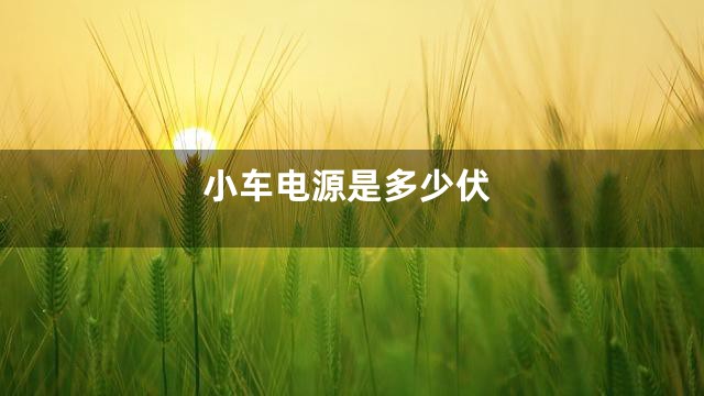 小车电源是多少伏