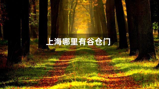 上海哪里有谷仓门