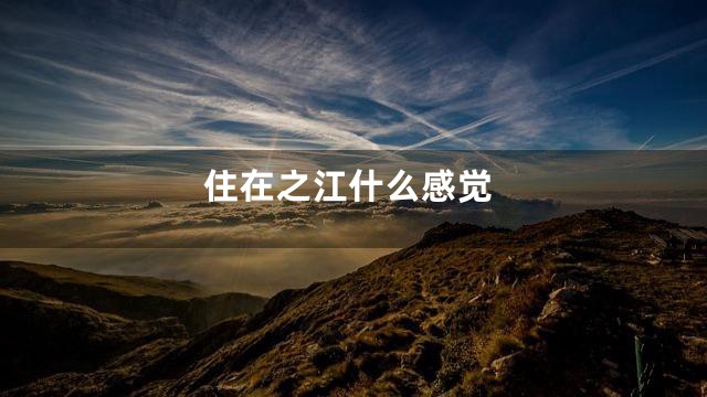 住在之江什么感觉
