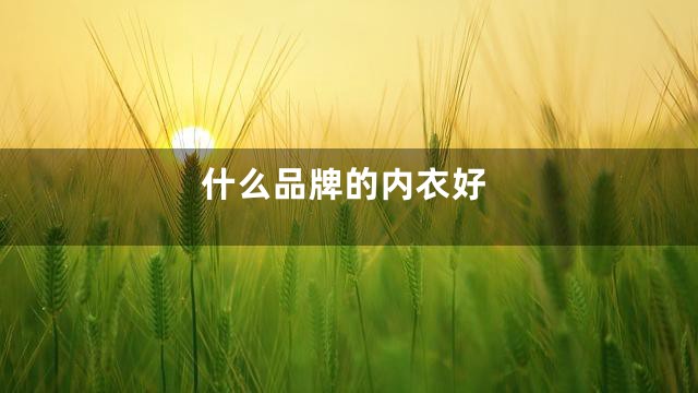 什么品牌的内衣好