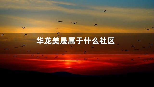 华龙美晟属于什么社区
