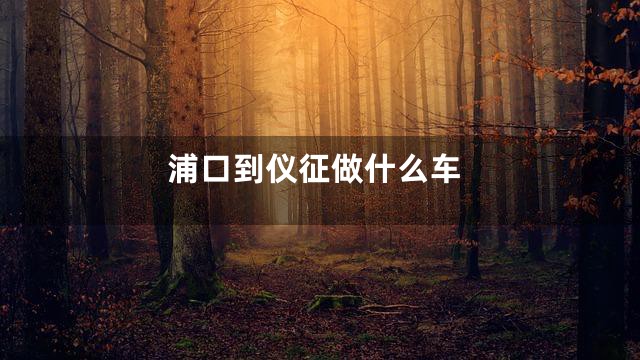 浦口到仪征做什么车