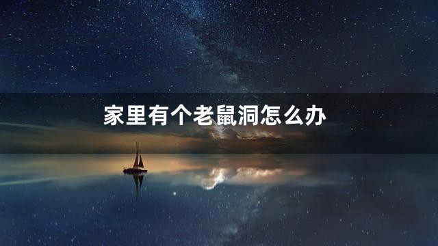 家里有个老鼠洞怎么办