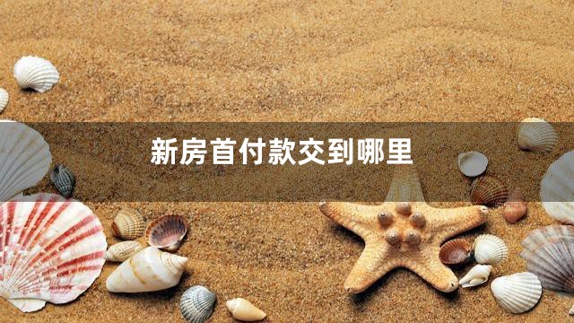 新房首付款交到哪里
