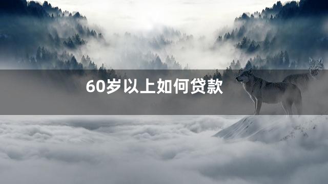 60岁以上如何贷款