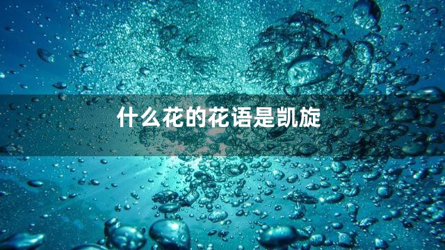 什么花的花语是凯旋