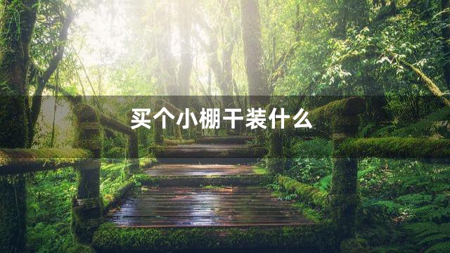 买个小棚干装什么