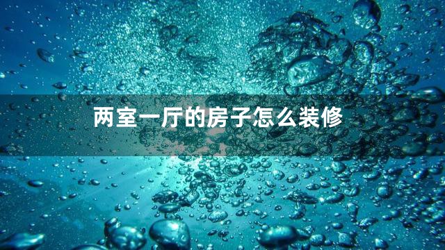 两室一厅的房子怎么装修