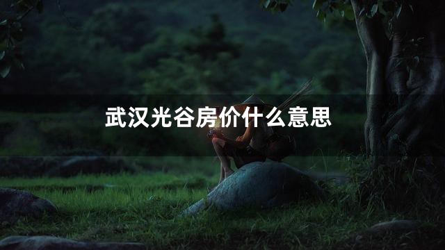 武汉光谷房价什么意思