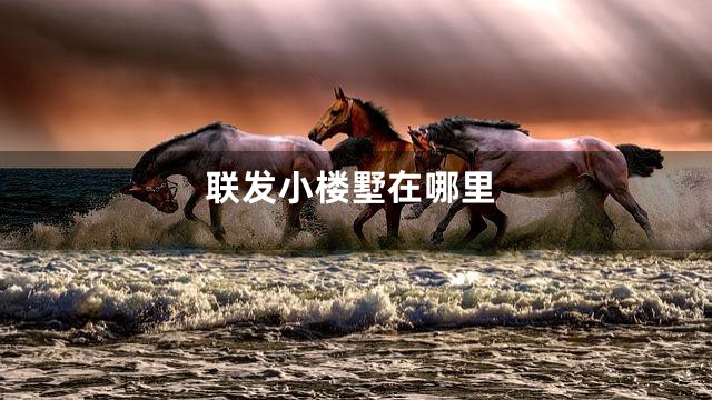 联发小楼墅在哪里