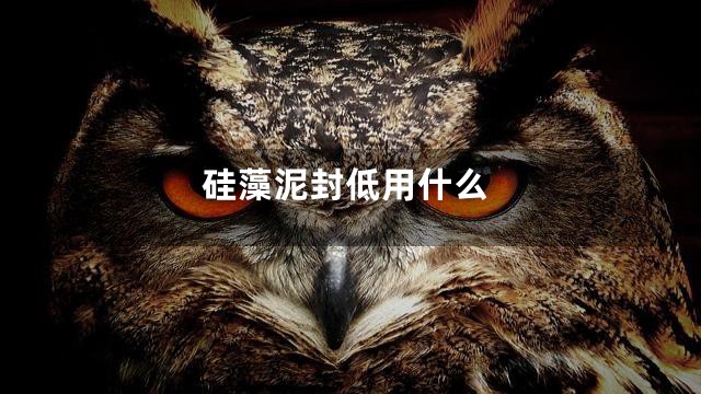 硅藻泥封低用什么