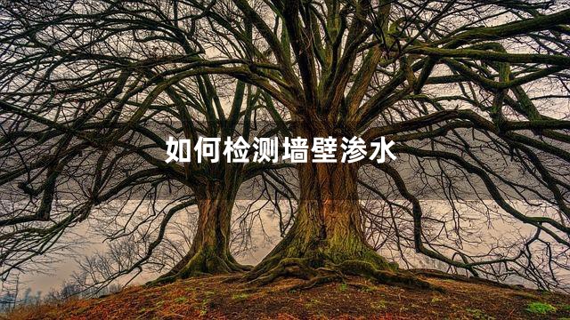 如何检测墙壁渗水