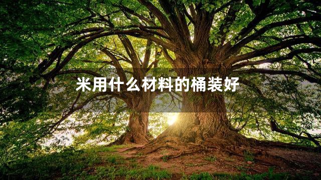 米用什么材料的桶装好