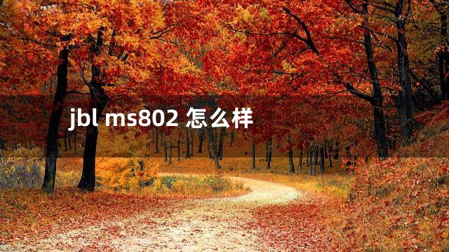 jbl ms802 怎么样
