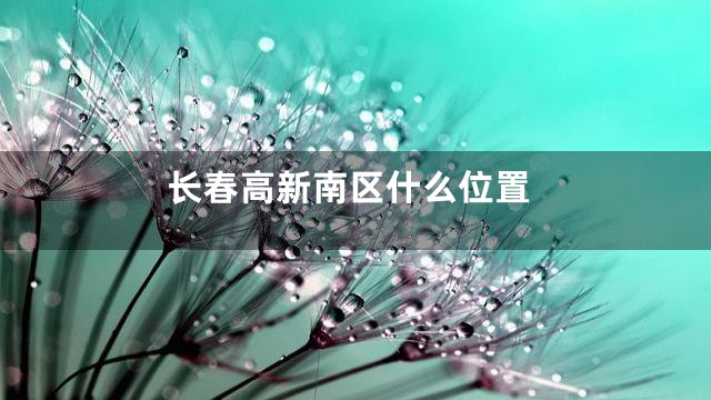 长春高新南区什么位置