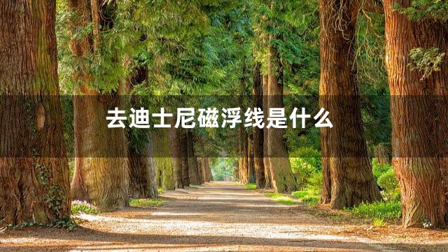 去迪士尼磁浮线是什么