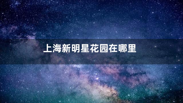 上海新明星花园在哪里