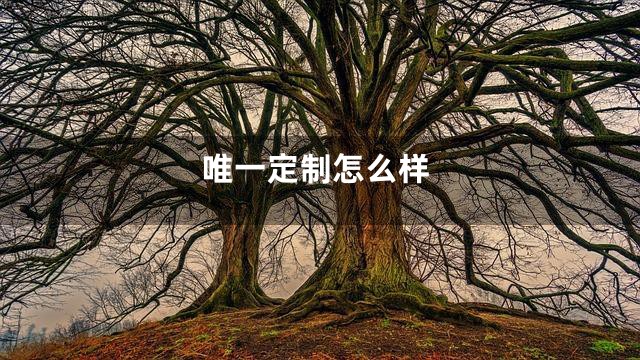 唯一定制怎么样
