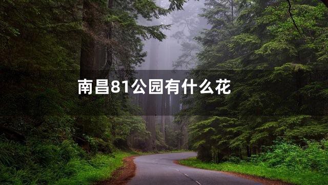 南昌81公园有什么花