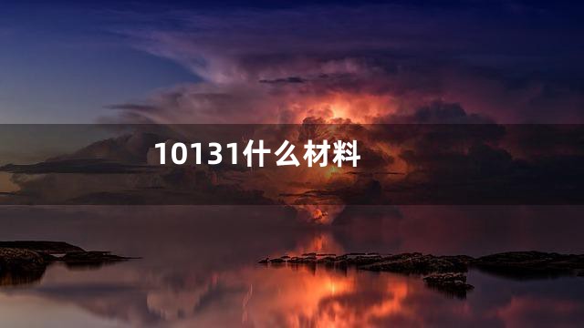 10131什么材料