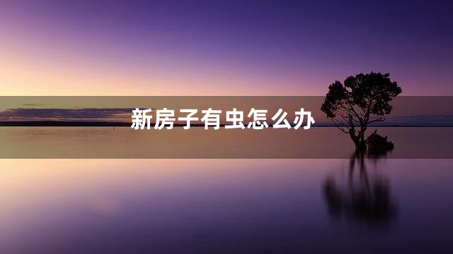 新房子有虫怎么办