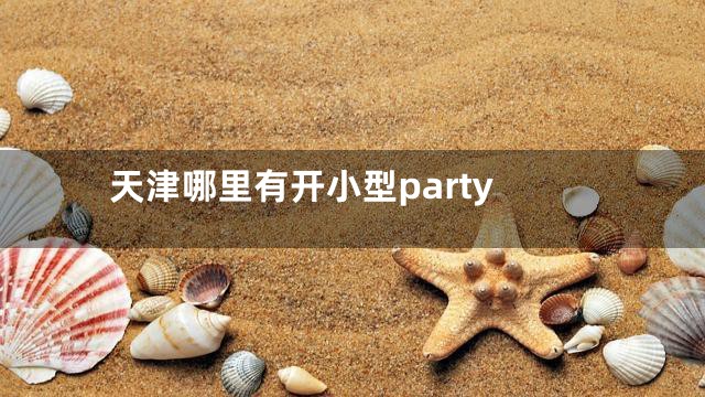 天津哪里有开小型party