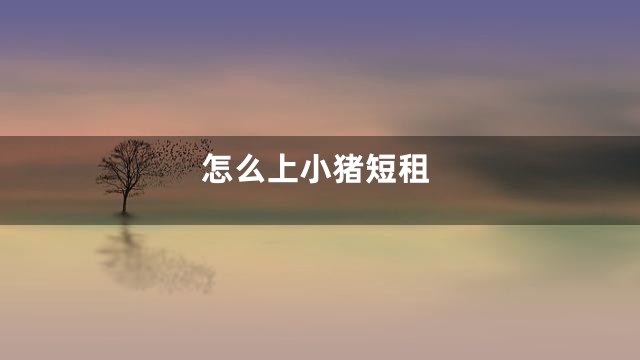怎么上小猪短租
